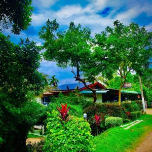 Taman di luar Gal Oya Lake View Inginiyagala