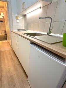 a kitchen with a sink and a dishwasher at Studio Apartment Unity in Zagreb