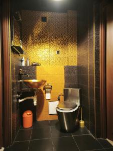 a bathroom with a toilet and a sink at Sekret Maharadży - The Maharaja's Secret in Częstochowa