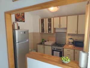 a kitchen with a refrigerator and a counter with a bowl of fruit at Apartment Vir in Vir