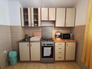 a small kitchen with a stove and a microwave at Apartment Vir in Vir