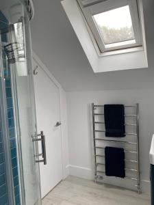 a bathroom with a shower and a skylight at Cranbrook on the river lym walk in Uplyme in Uplyme +62 photos