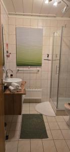 łazienka z umywalką i prysznicem z oknem w obiekcie Apartment 2 Feistriz in Rosental 9181 w mieście Feistritz im Rosental