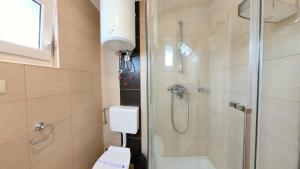 a bathroom with a shower and a toilet and a glass shower at Villa Bell'Aria Korcula in Vela Luka