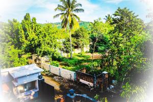 Garður fyrir utan Lazy Inn Kuta Lombok