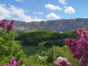 a view of a valley with mountains in the background at Čemerno cottage 2 in Gacko