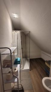 Koupelna v ubytování Chata Drapula - Gospodarstwo Agroturystyczne - Apartament na wyłączność z widokiem na góry i aneksem kuchennym