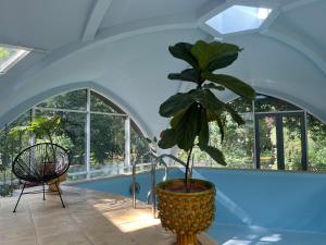 Φωτογραφία από το άλμπουμ του Villa Lumiere σε Γιούρμαλα