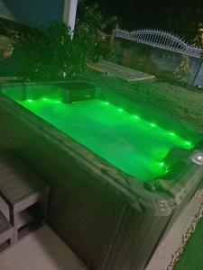 a green swimming pool with a bench next to it at Le Cocon de l'Oranger in Le Moule