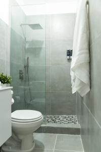 a bathroom with a toilet and a glass shower at Modern 2BR Apt in San Juan City, Concert Stays in San Juan +18 photos