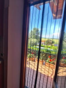 Zahrada ubytování Il casale di Maccarese