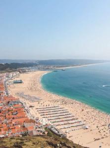 Příroda nedaleko prázdninového domu + 3 fotografie