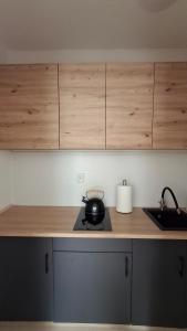 a kitchen counter with a tea pot on a stove at Apartament u Krzyżaka in Malbork