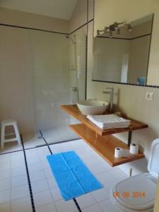 a bathroom with a sink and a mirror and a toilet at Quinta das Delicias in São Tiaguinho