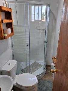 a bathroom with a toilet and a glass shower at Cabañas Los Tatas in Puerto Octay