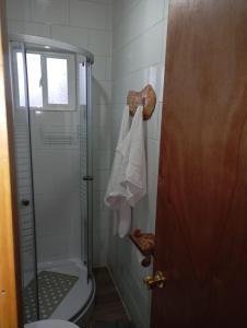 a bathroom with a shower and a toilet and a window at Cabañas Los Tatas in Puerto Octay +5 photos