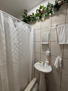 Koupelna v ubytování Cómodo mini apartamento en La Sabana, San José