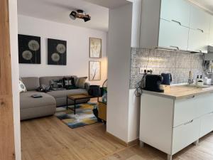 eine Küche und ein Wohnzimmer mit einem Sofa in der Unterkunft Apartament Corvin 3 in Hunedoara