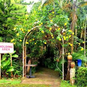 an entrance to a garden with a tree with yellow flowers at The Weekend Farmer in Alfonso +5 photos
