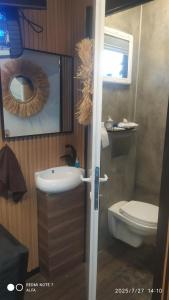 エイラットにあるוילה בלגונהの洗面台とトイレ付きの小さなバスルーム +7枚の写真
