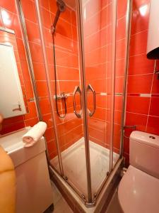 a bathroom with a shower and a toilet at L'écrin d'Orphée in Bagnolet +10 photos