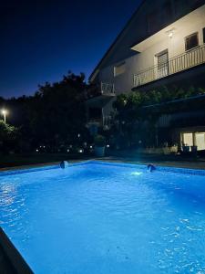 PretrešnjaDomaćinstvo Trifunović的夜晚建筑物前的游泳池