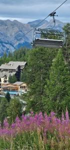 a ski lift with purple flowers in front of a mountain at Villaret 2 lits de 2 places Risoul 1850 in Risoul