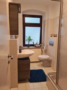 a bathroom with a sink and a toilet and a window at Stilvolles City-Apartment in Halle an der Saale