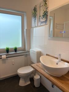 a bathroom with a sink and a toilet and a window at LV Apartment Externsteine in Horn-Bad Meinberg +28 photos