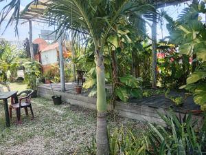 En have udenfor Hotel Casa Maguey