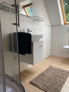 ein Badezimmer mit Dusche und Waschbecken in der Unterkunft Großzügige Ferienwohnung zwischen Bremen und Hamburg in Alfstedt