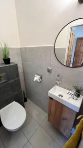a bathroom with a white toilet and a mirror at Jako doma in Ivaň +5 photos