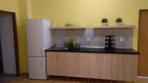 Kuchyňa alebo kuchynka v ubytovaní Easy Housing