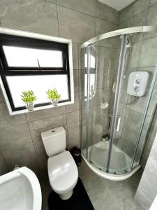 a bathroom with a shower and a toilet and a sink at The Ocean Nest in Loughaunbeg +24 photos