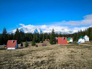 a group of houses in a field with snow covered mountains at Vila Vida in Žabljak +24 photos