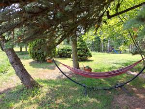 a hammock in a park under a tree at Dom Wakacyjny z ogromnym ogrodem in Witaszyn