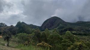 a group of mountains with trees in a field at Camping luz do sol in Aiuruoca