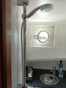 a shower head in a bathroom with a sink at Deluxe romantic boat in Hoogeveen