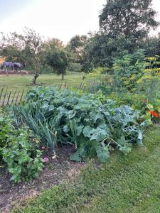 Φωτογραφία από το άλμπουμ του Løkken Farm Holiday σε Løkken