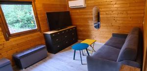 a living room with a couch and a television at Charmant chalet en bois - Ardèche in Joyeuse