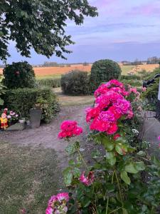 Φωτογραφία από το άλμπουμ του Løkken Farm Holiday σε Løkken