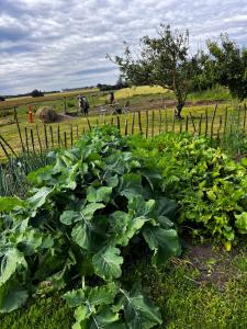Φωτογραφία από το άλμπουμ του Løkken Farm Holiday σε Løkken