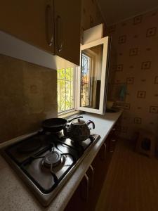 Kuchyň nebo kuchyňský kout v ubytování Golden Stay Baku-Shuvalan