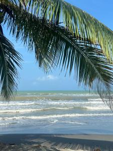 a view of the ocean from under a palm tree at Refugio olgamar, Cabaña con kiosco cerca al mar in Moñitos