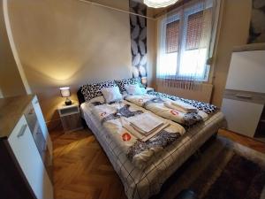 哈卡尼Lilaakác Vendégház的有窗户的房间里有一张大床