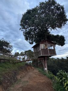 une cabane dans les arbres au sommet d'un arbre dans l'établissement Finca turística Villa Carolina, à Sabaletas