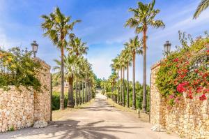 Κήπος έξω από το Luxury Villa Es Molinet +16 φωτογραφίες