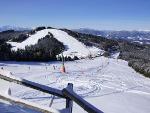 a group of people skiing down a snow covered slope at Holiday apartment with 2 bedrooms in Sankt Urban