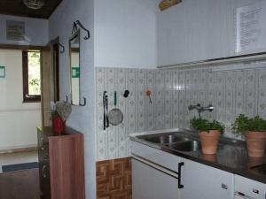 1-bedroom holiday apartment في Zirkitz: مطبخ مع حوض وكاونتر