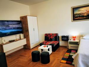 TV a/nebo společenská místnost v ubytování Apartments Mara Cres